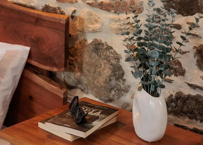 公寓式酒店 Burgos Barrio Naxos 3*