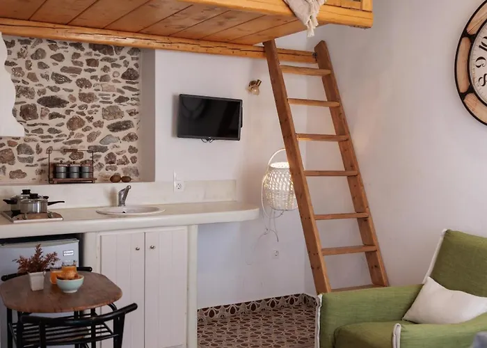 公寓式酒店 Burgos Barrio Naxos